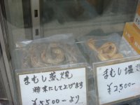 DSC00959.JPG